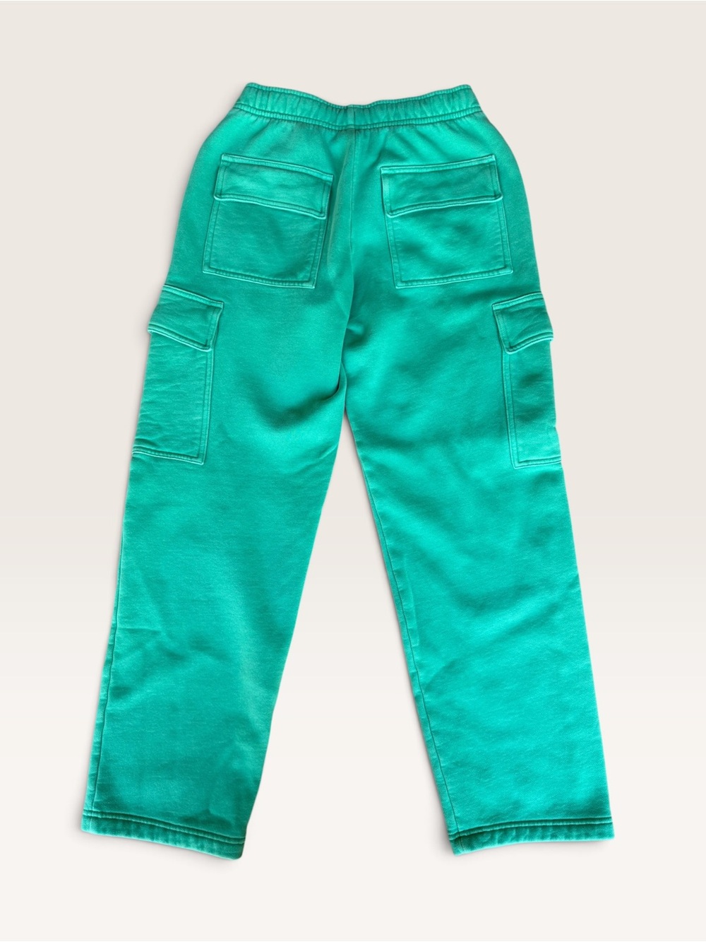 Aritzia Green Cargo SweatPants